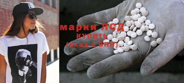 хмурый Абаза
