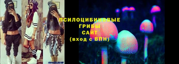 ПСИЛОЦИБИНОВЫЕ ГРИБЫ Абинск