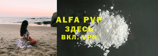 хмурый Абаза