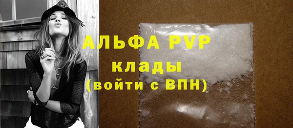 хмурый Абаза