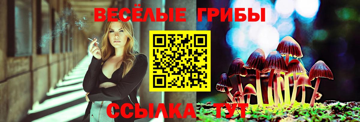 сколько стоит  Вход с VPN  Галлюциногенные грибы ЛСД  Нефтеюганск  Псилоцибиновые грибы мухоморы 